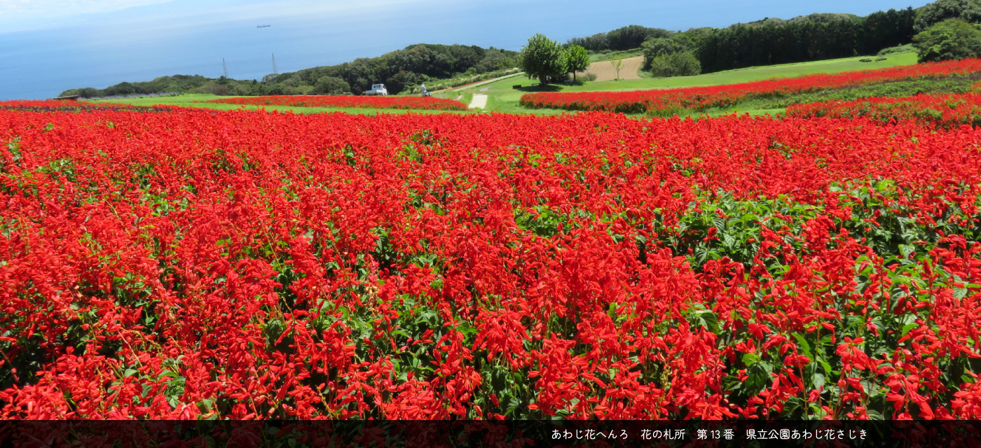 あわじ花へんろ　花の札所　13番　県立公園あわじ花さじき